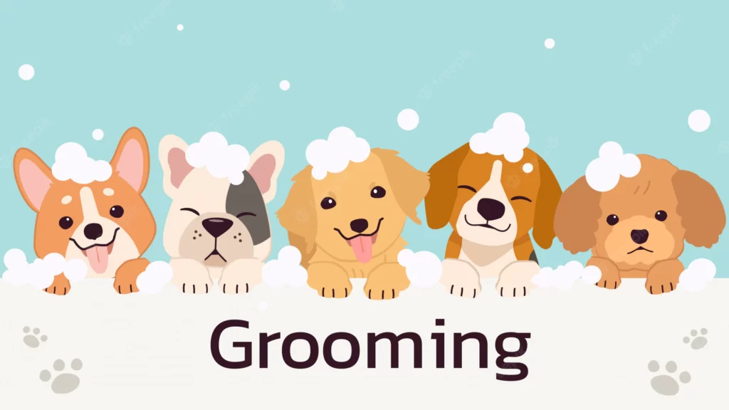 Grooming Tips for Dogs,Dog Supplies, Dog Grooming Supplies, Discount Dog Supplies